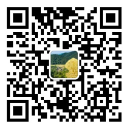 港澳宝典官网